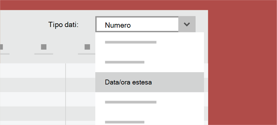 Mostra il tipo di dati di Access